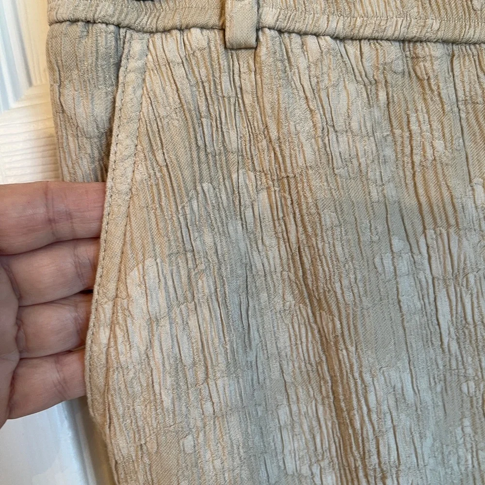 ZARA Textured Taupe Ankle Pants Women’s L Crinkle Fabric Modern Spring‎
